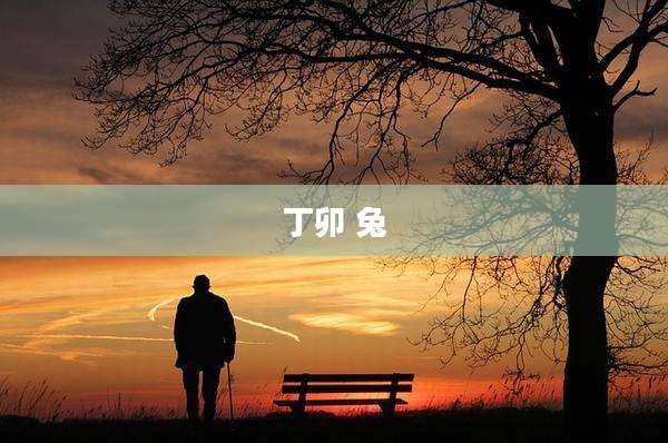 丁卯 兔