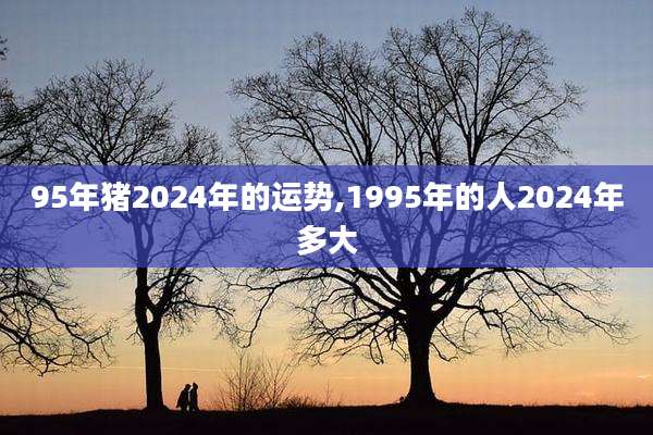 95年猪2024年的运势,1995年的人2024年多大