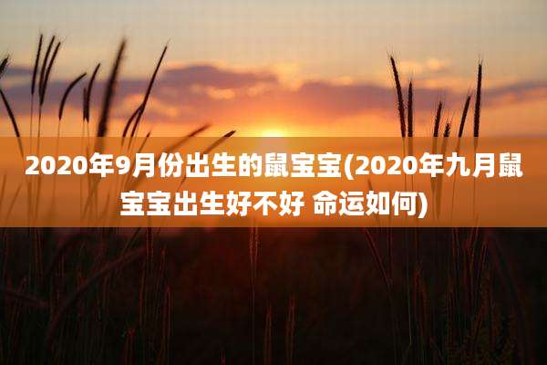 2020年9月份出生的鼠宝宝(2020年九月鼠宝宝出生好不好 命运如何)