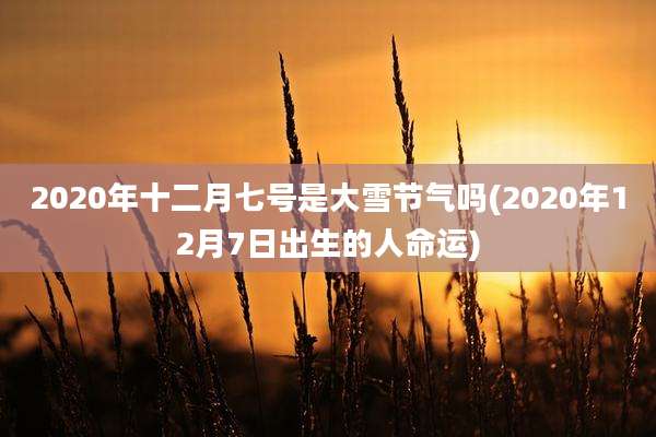 2020年十二月七号是大雪节气吗(2020年12月7日出生的人命运)