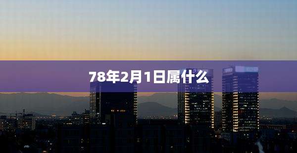 78年2月1日属什么