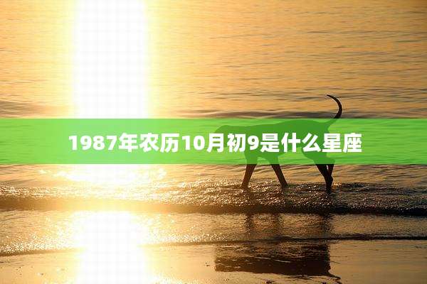 1987年农历10月初9是什么星座