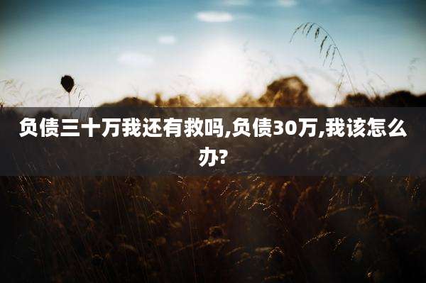 负债三十万我还有救吗,负债30万,我该怎么办?