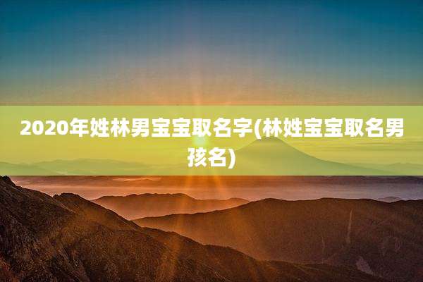 2020年姓林男宝宝取名字(林姓宝宝取名男孩名)
