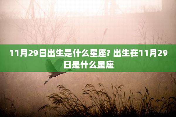 11月29日出生是什么星座? 出生在11月29日是什么星座