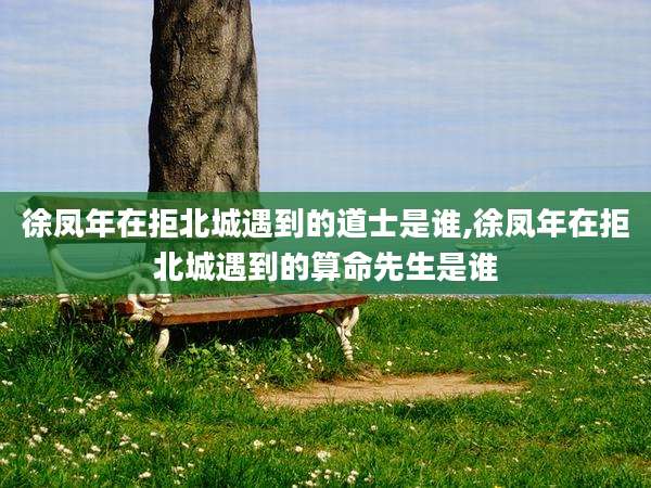 徐凤年在拒北城遇到的道士是谁,徐凤年在拒北城遇到的算命先生是谁