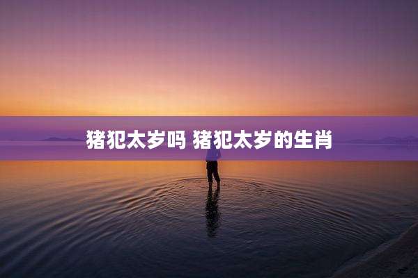 猪犯太岁吗 猪犯太岁的生肖