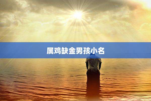 属鸡缺金男孩小名