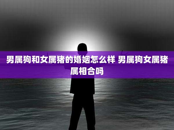 男属狗和女属猪的婚姻怎么样 男属狗女属猪属相合吗