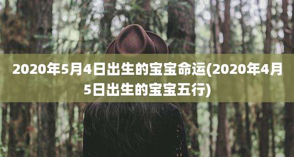2020年5月4日出生的宝宝命运(2020年4月5日出生的宝宝五行)