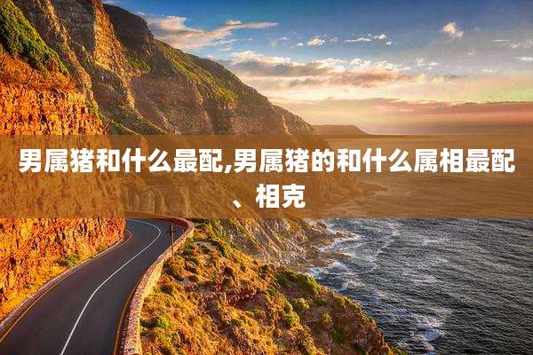 男属猪和什么最配,男属猪的和什么属相最配、相克