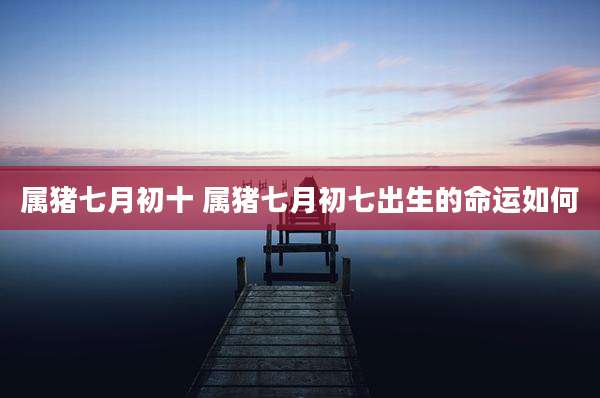 属猪七月初十 属猪七月初七出生的命运如何