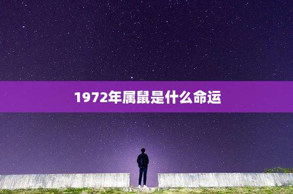 1972年属鼠是什么命运