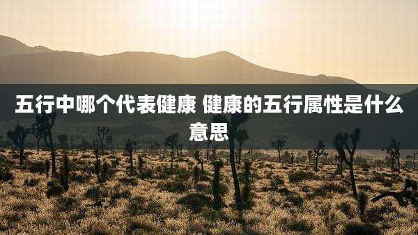 五行中哪个代表健康 健康的五行属性是什么意思