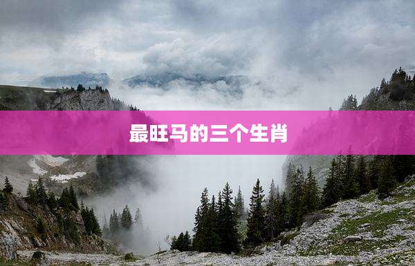 最旺马的三个生肖