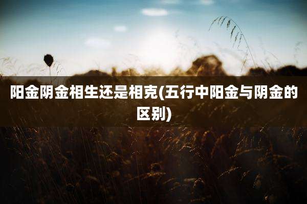 阳金阴金相生还是相克(五行中阳金与阴金的区别)