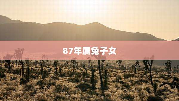 87年属兔子女