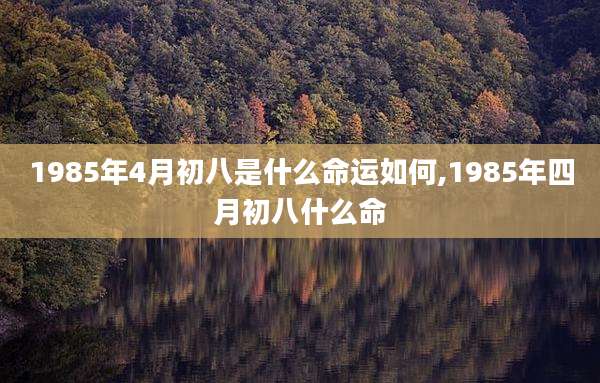 1985年4月初八是什么命运如何,1985年四月初八什么命