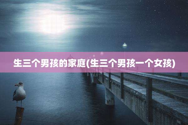 生三个男孩的家庭(生三个男孩一个女孩)