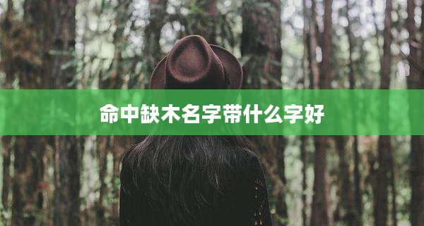 命中缺木名字带什么字好