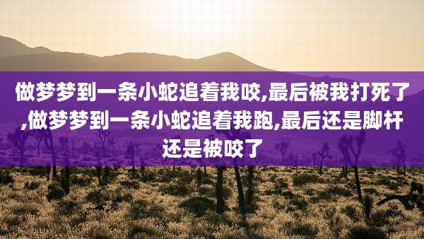 做梦梦到一条小蛇追着我咬,最后被我打死了,做梦梦到一条小蛇追着我跑,最后还是脚杆还是被咬了