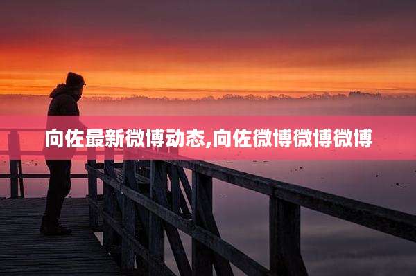 向佐最新微博动态,向佐微博微博微博