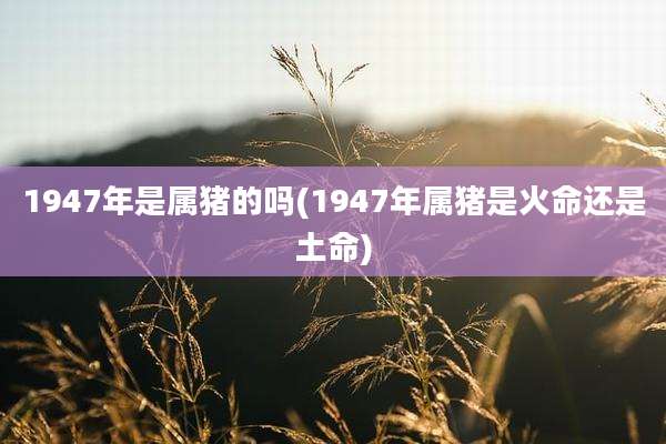 1947年是属猪的吗(1947年属猪是火命还是土命)