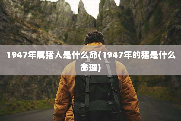 1947年属猪人是什么命(1947年的猪是什么命理)