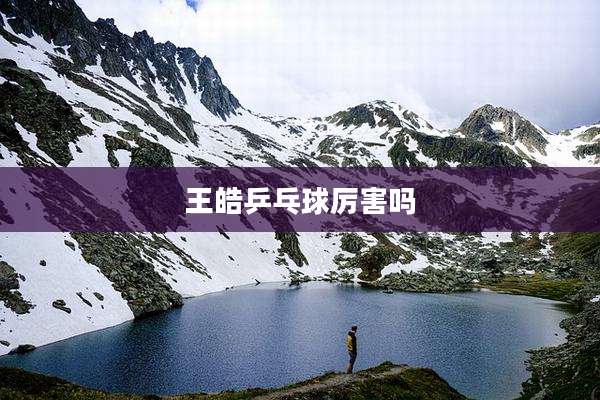 王皓乒乓球厉害吗
