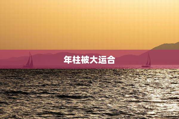 年柱被大运合