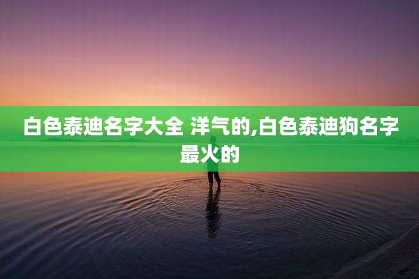 白色泰迪名字大全 洋气的,白色泰迪狗名字最火的