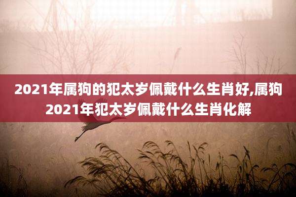 2021年属狗的犯太岁佩戴什么生肖好,属狗2021年犯太岁佩戴什么生肖化解