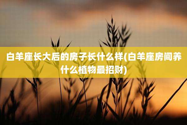 白羊座长大后的房子长什么样(白羊座房间养什么植物最招财)