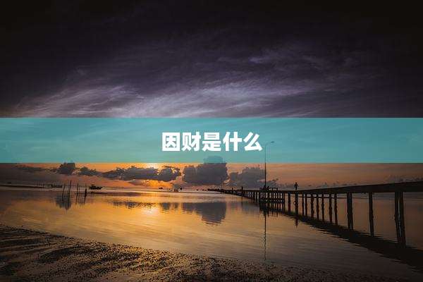 因财是什么