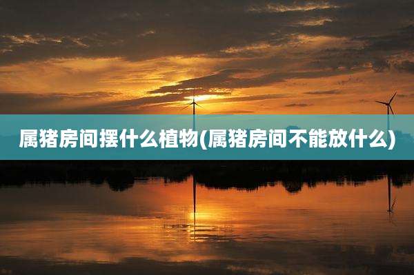 属猪房间摆什么植物(属猪房间不能放什么)