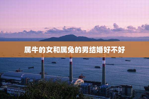 属牛的女和属兔的男结婚好不好
