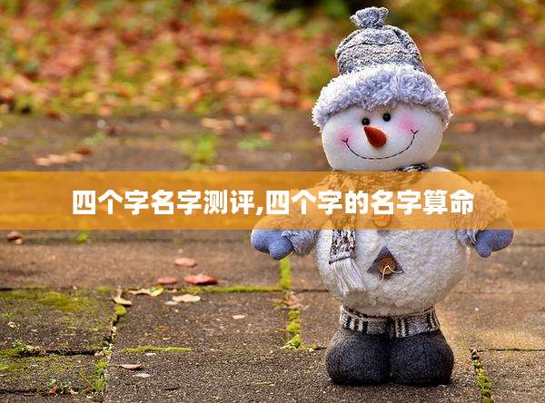 四个字名字测评,四个字的名字算命
