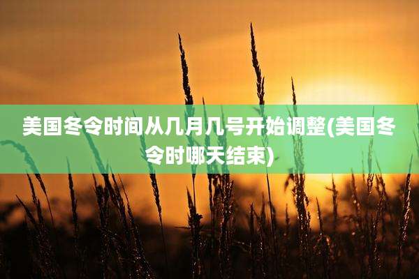 美国冬令时间从几月几号开始调整(美国冬令时哪天结束)