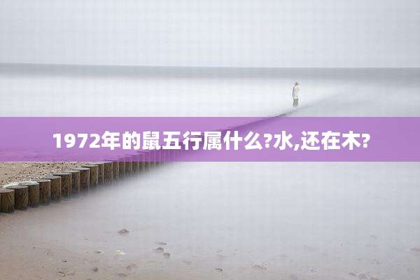 1972年的鼠五行属什么?水,还在木?