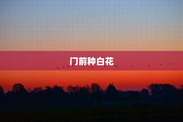 门前种白花