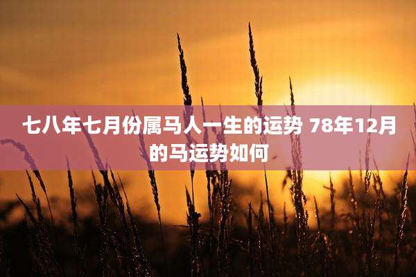 七八年七月份属马人一生的运势 78年12月的马运势如何