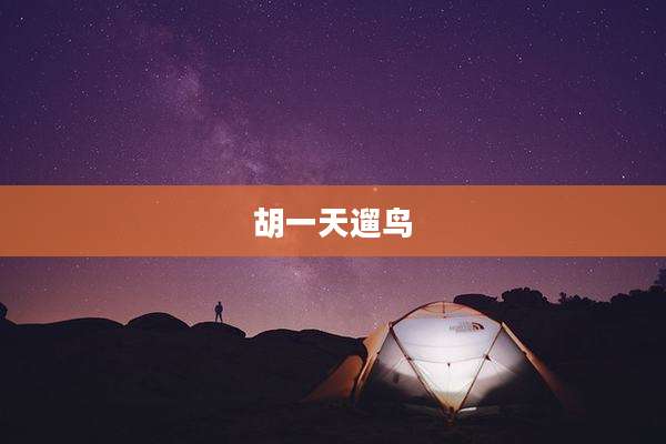 胡一天遛鸟