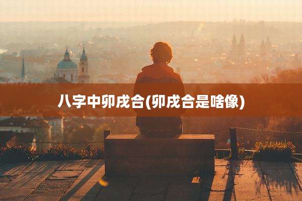 八字中卯戌合(卯戌合是啥像)