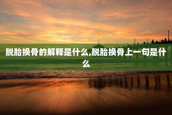 脱胎换骨的解释是什么,脱胎换骨上一句是什么