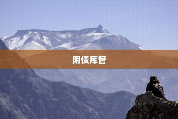 阴债库管