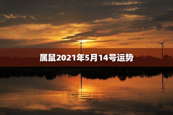 属鼠2021年5月14号运势