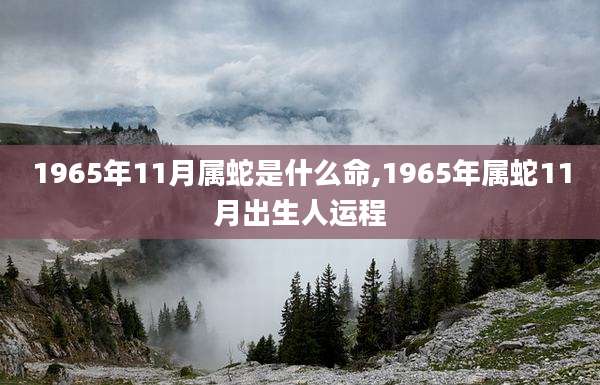 1965年11月属蛇是什么命,1965年属蛇11月出生人运程