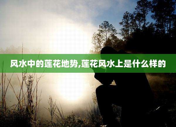 风水中的莲花地势,莲花风水上是什么样的