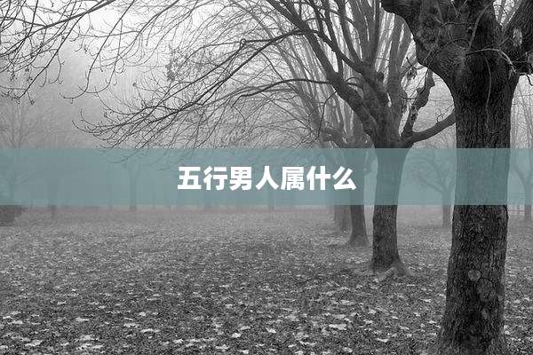 五行男人属什么