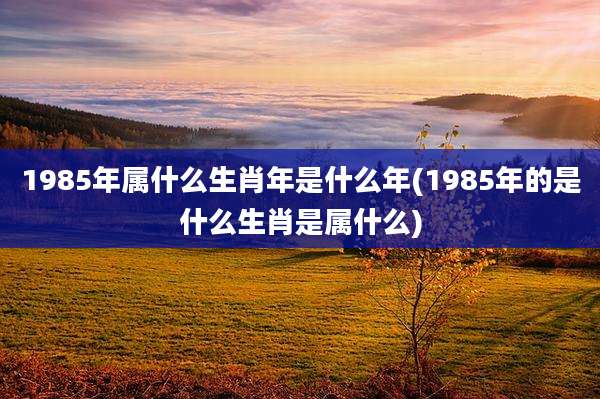 1985年属什么生肖年是什么年(1985年的是什么生肖是属什么)